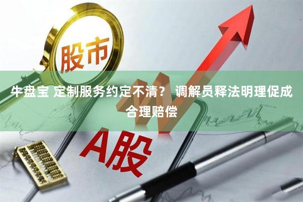 牛盘宝 定制服务约定不清？ 调解员释法明理促成合理赔偿