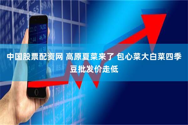 中国股票配资网 高原夏菜来了 包心菜大白菜四季豆批发价走低