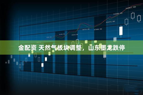 金配资 天然气板块调整，山东墨龙跌停