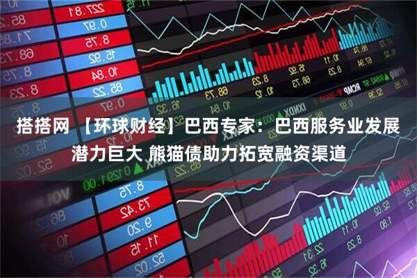 搭搭网 【环球财经】巴西专家:巴西服务业发展潜力巨大 熊猫债助力拓宽融资渠道